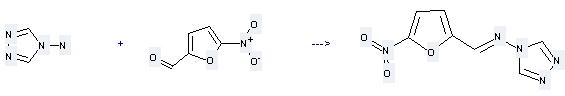  4-Amino-1,2,4-triazole can react with 5-Nitro-furan-2-carbaldehyde to get (5-Nitro-furan-2-ylmethylene)-[1,2,4]triazol-4-yl-amine.